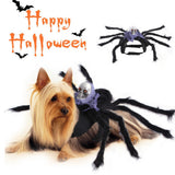 Halloween Cat and Dog Costume - Cloth