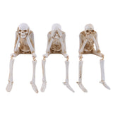 Halloween Resin Skull Figurines
