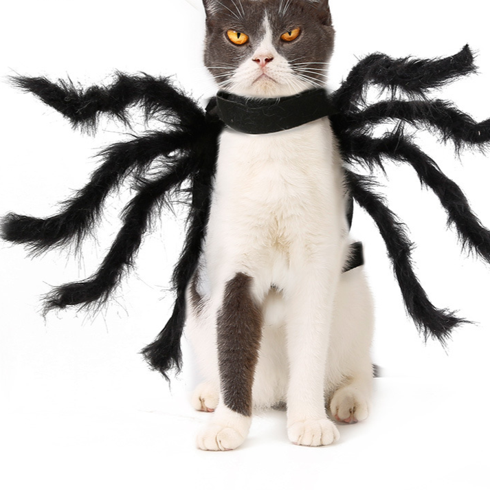 Halloween Pet Spider Costume