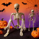 Halloween Plastic Skeleton Props and Bones