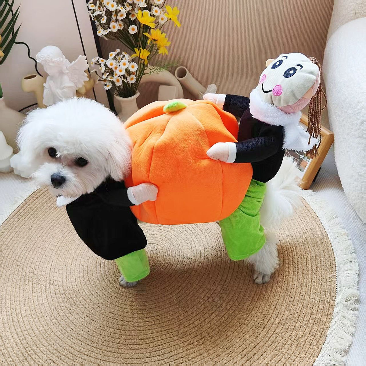 Halloween and Christmas Pumpkin Pet Costume - Cloth