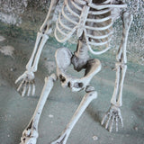 Halloween Haunted House Skeleton Decoration