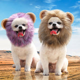 Halloween Lion Mane Hat for Dogs and Cats - Acrylic