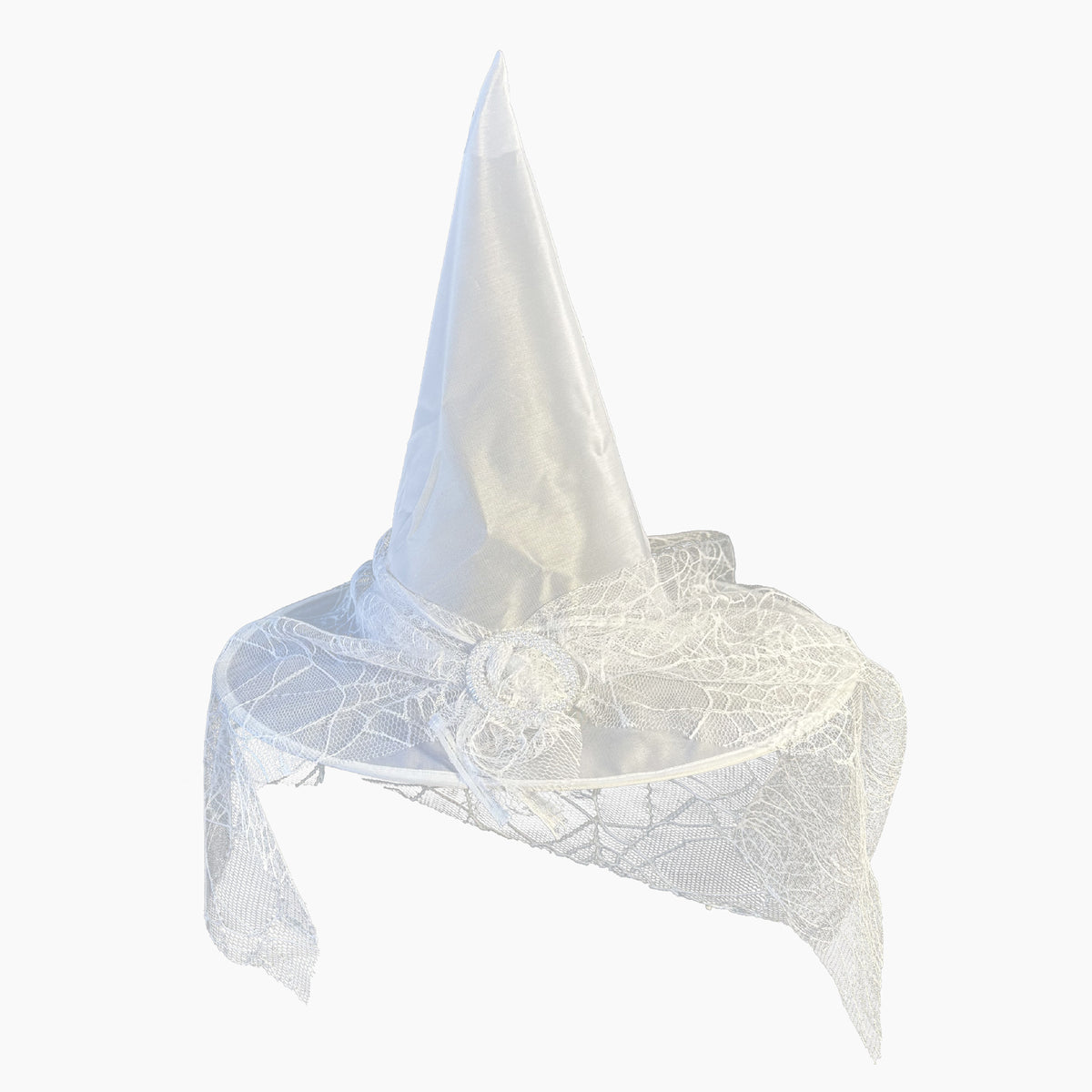 Halloween Witch Hat with Lace Veil