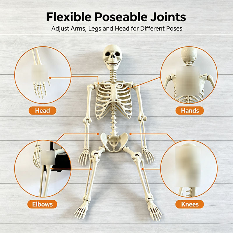 Halloween Plastic Skeleton Decoration