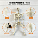 Halloween Plastic Skeleton Decoration