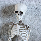 Halloween Haunted House Skeleton Decoration
