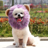 Halloween Lion Mane Hat for Dogs and Cats - Acrylic