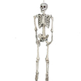 Halloween Haunted House Skeleton Decoration