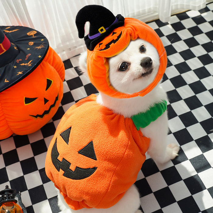 Halloween and Christmas Costumes for Dogs and Cats - Polyester