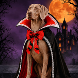 Pet Halloween Costumes — Hallowicked hero (SUPEFCC00066)