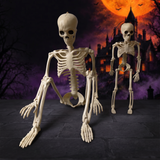 Halloween Horror Skeleton Bones — Hallowicked hero (SUACAAM00026)