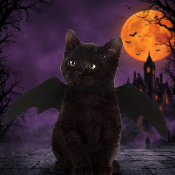 Pet Bat Wing Halloween Costume — Hallowicked hero (SUPEGDA00134)