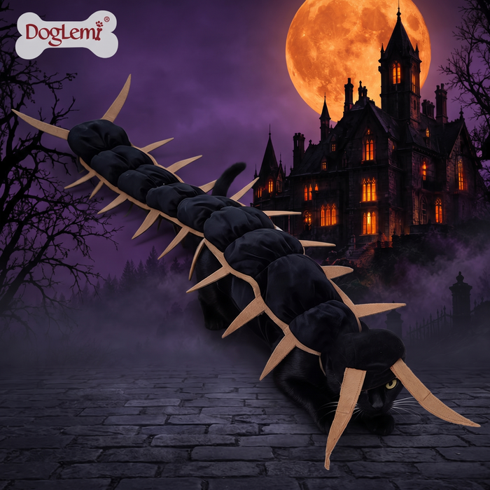 Halloween Pet Spider Costume — Hallowicked hero (SUPEFCC00056)