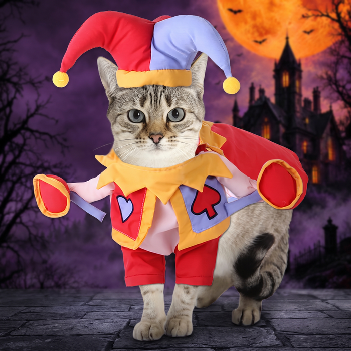 Pet Halloween Costume — Hallowicked hero (SUPEGDA00079)