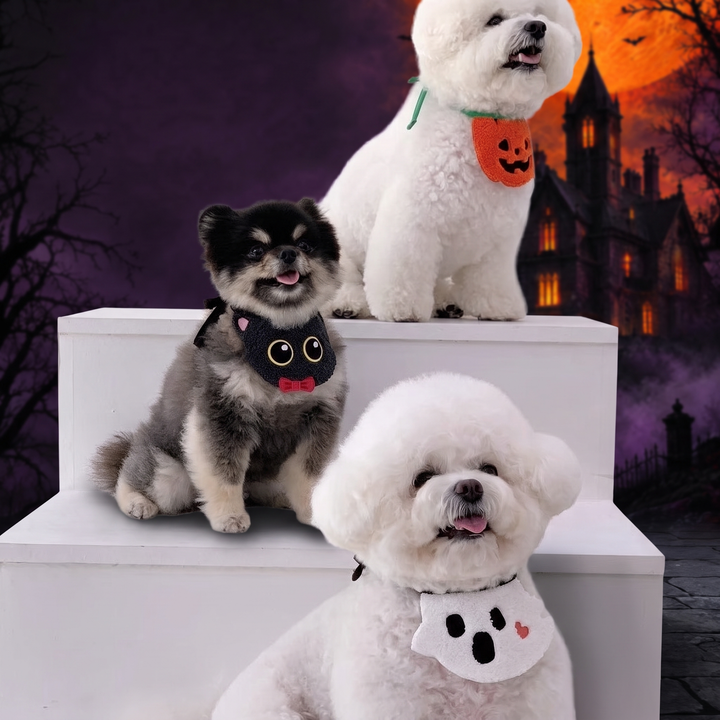 Pet Costumes & Accessories