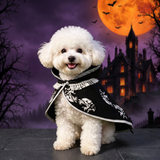 Pet clothing Halloween cape — Hallowicked hero (SUPEGDA00086)