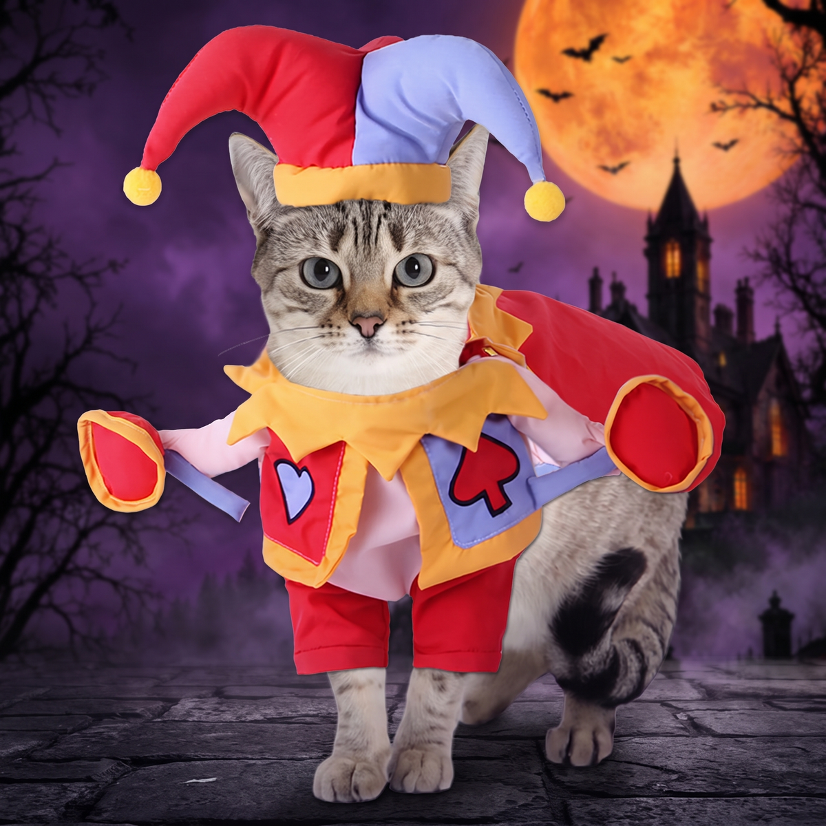 Halloween dog costumes — Hallowicked hero (SUPEGDA00078)