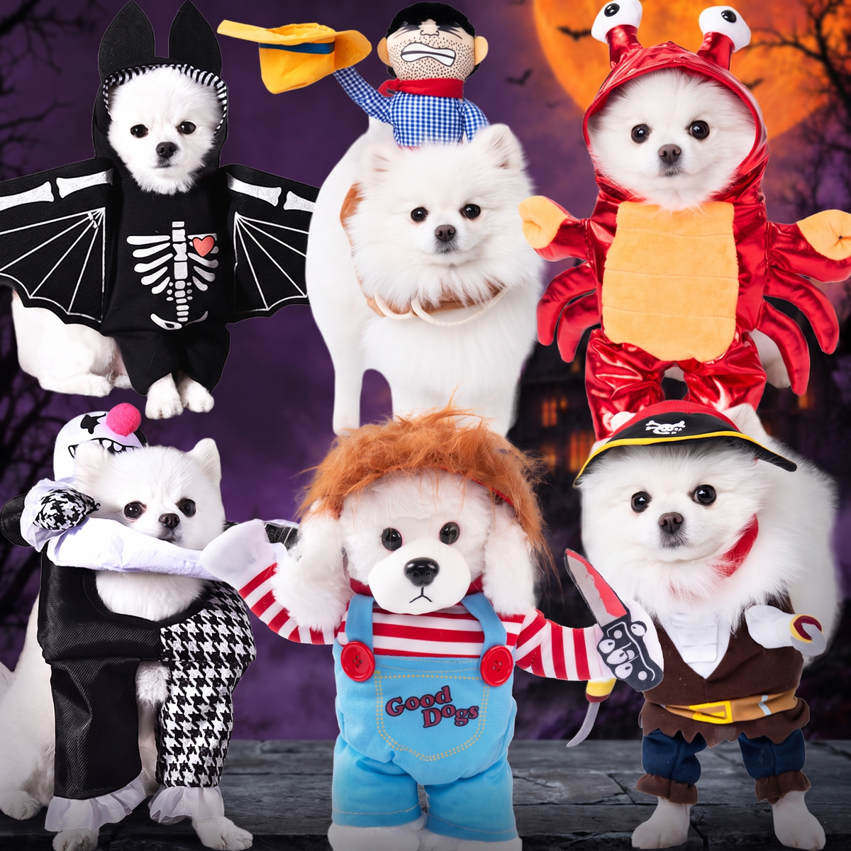 Funny Pet Halloween Costume — Hallowicked hero (SUPEGDA00071)