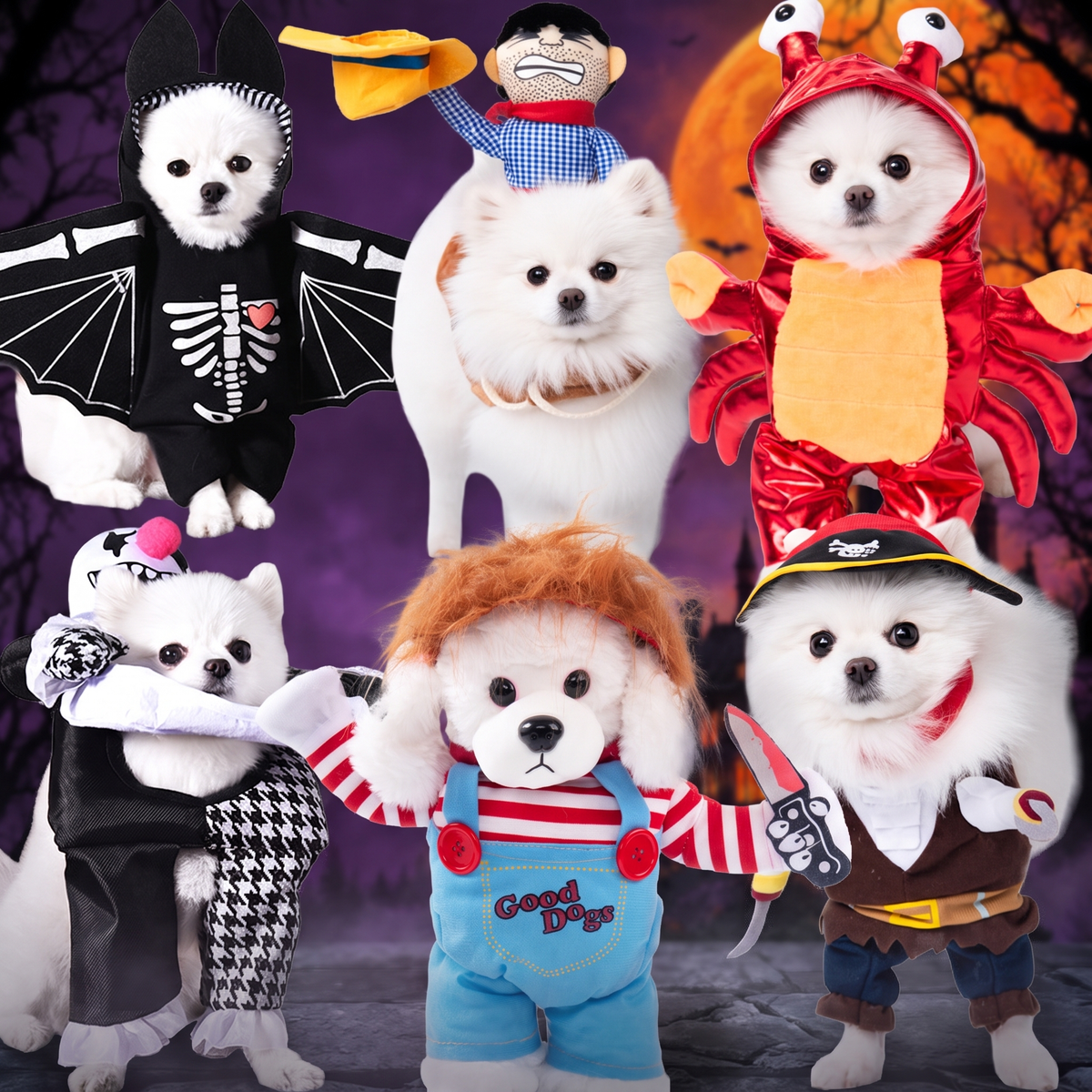 Funny Pet Halloween Costume Dress — Hallowicked hero (SUPEGDA00069)