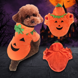 Halloween Pumpkin Pet Costume for Small Dogs and Cats — Hallowicked hero (SU00032350)