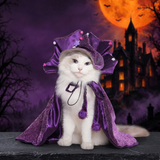 Pet Halloween Cloak with Magic Hat — Hallowicked hero (SU00028570)