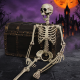 Halloween Plastic Skeleton Prop — Hallowicked hero (SU00030601)