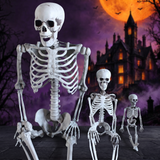 Skeleton for Halloween Haunted House Decoration — Hallowicked hero (SU00021766)